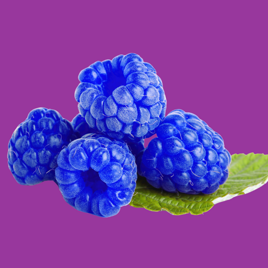 A picture of 4 blue raspberries on a purple background representing Hypothermias Blue Raspberry Dye-FREE Slush Base Syrup Concentrate Mix, made with non-GMO 100% pure cane sugar and no corn syrup.